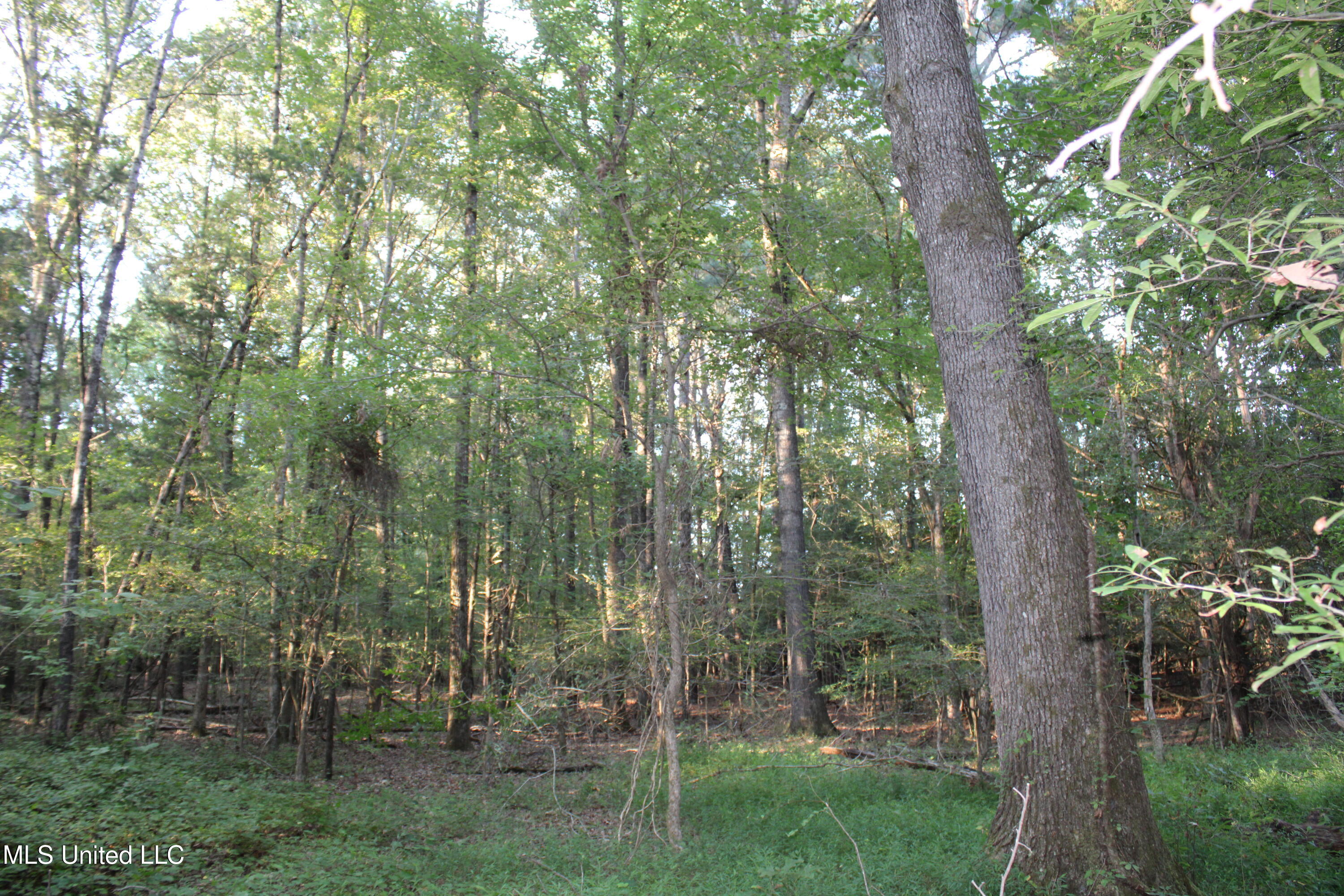 1800 Union Valley Road Byhalia, MS 38611 - Photo 4 of 14 IMG_6391