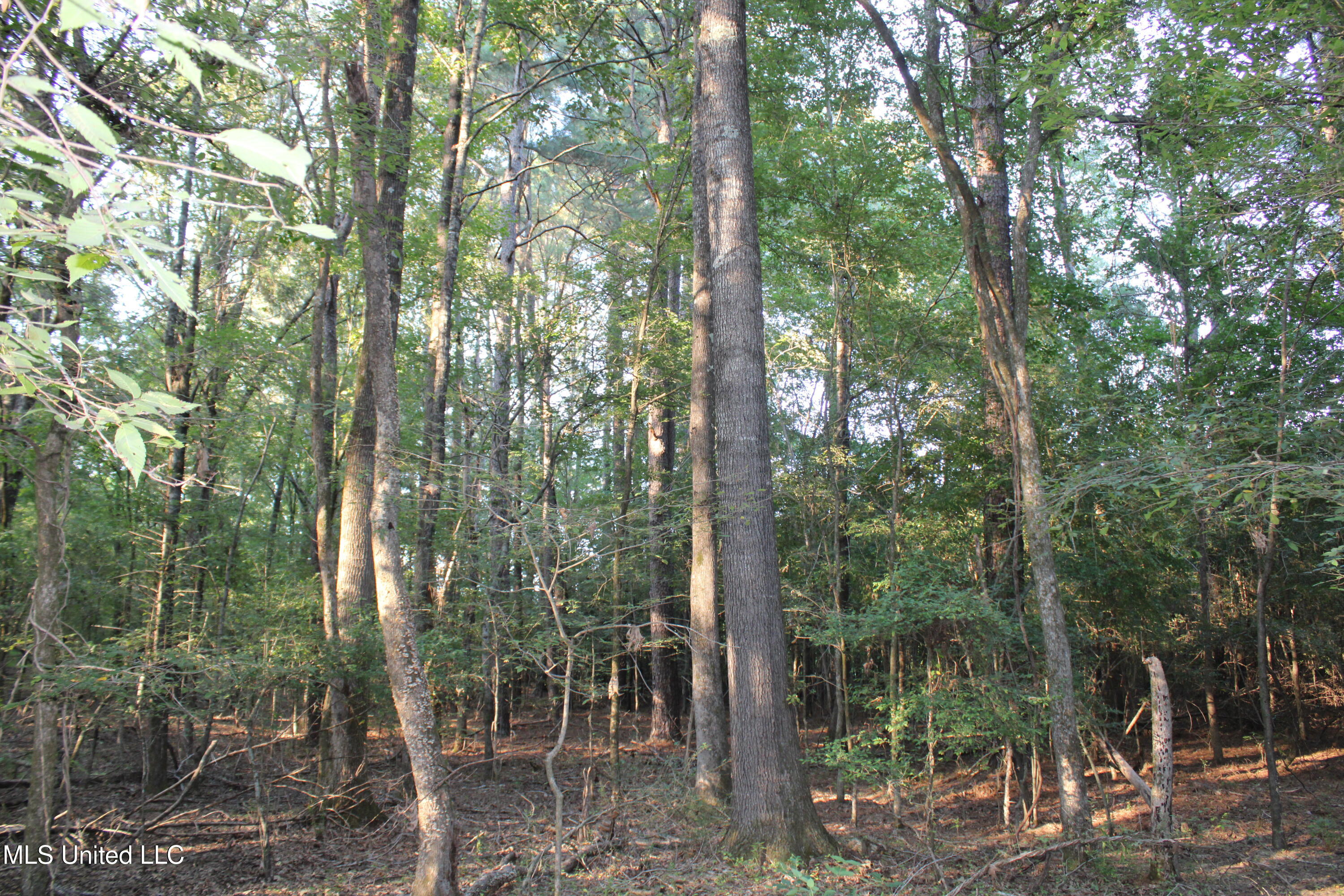 1800 Union Valley Road Byhalia, MS 38611 - Photo 5 of 14 IMG_6393