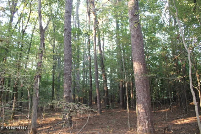 $84,900 | 1800 Union Valley Road, Byhalia, MS 38611