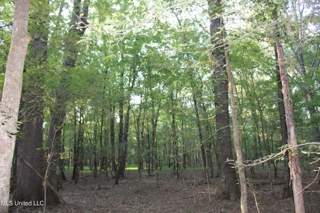 $84,900 | 1800 Union Valley Road, Byhalia, MS 38611