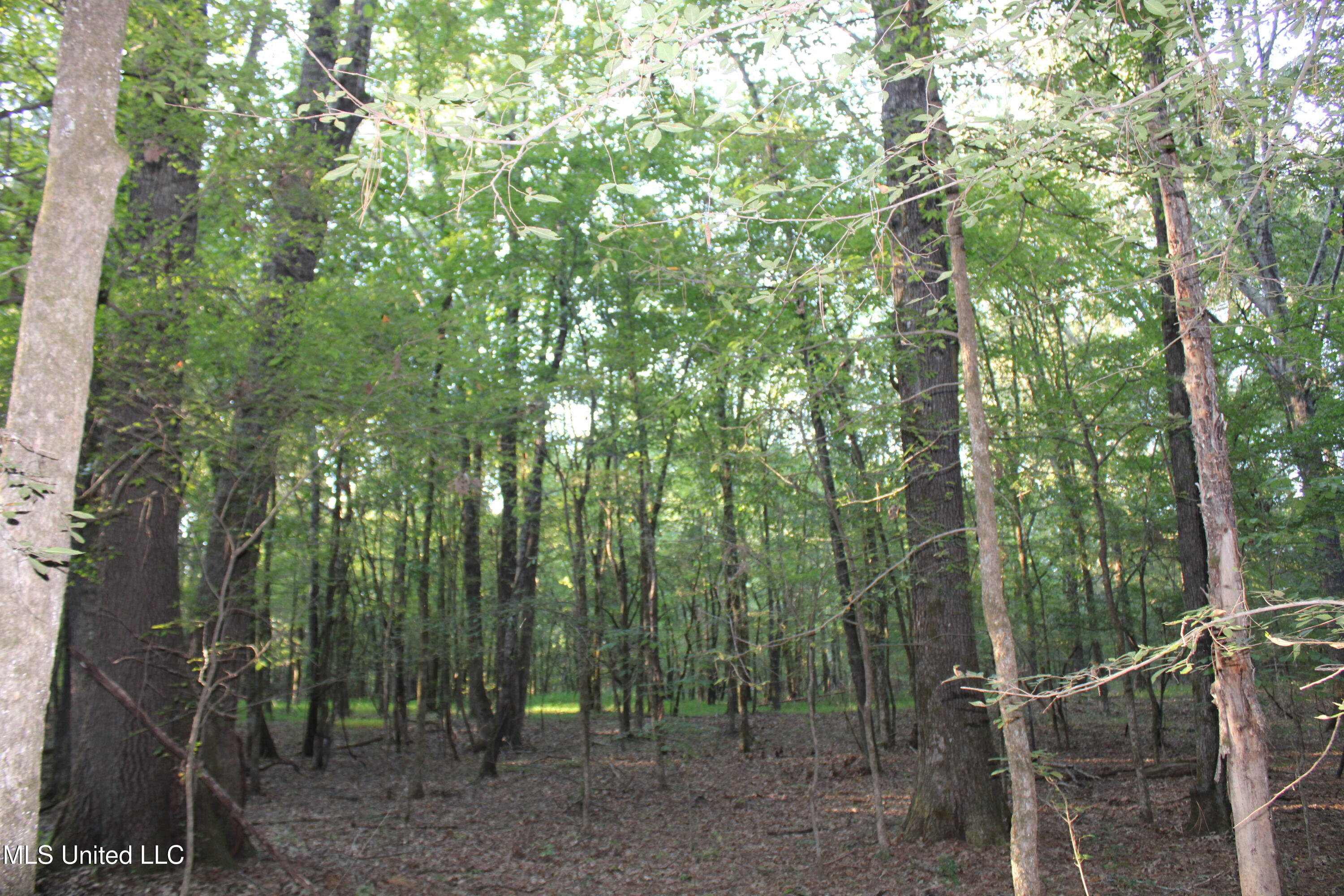 1800 Union Valley Road Byhalia, MS 38611 - Photo 7 of 14 IMG_6395