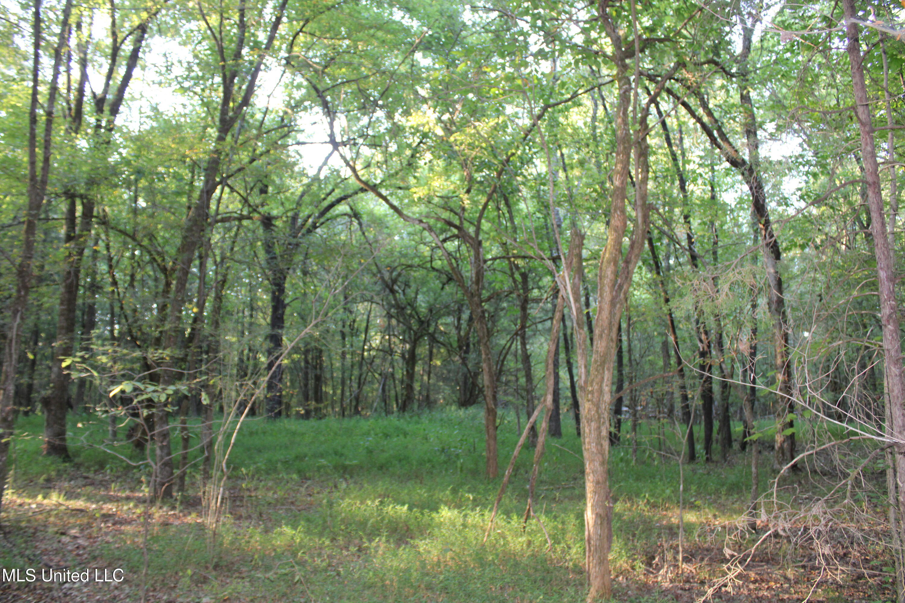 1800 Union Valley Road Byhalia, MS 38611 - Photo 9 of 14 IMG_6397