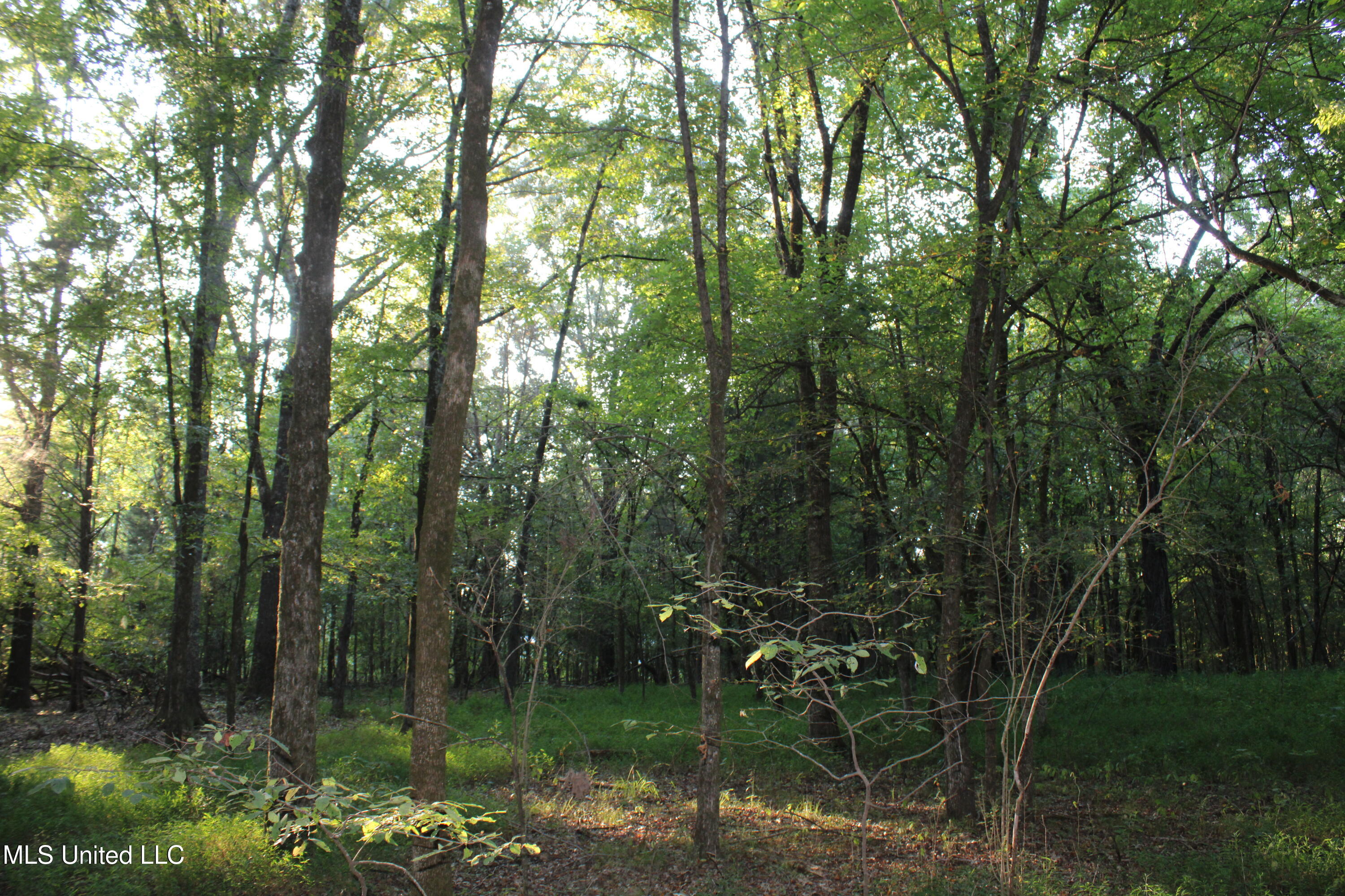 1800 Union Valley Road Byhalia, MS 38611 - Photo 10 of 14 IMG_6398