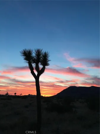 $24,000 | 59990 Mitch Lane, Landers, CA 92285