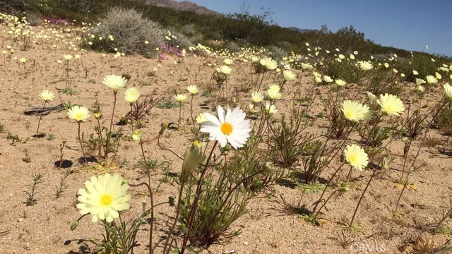 a view of a mountain