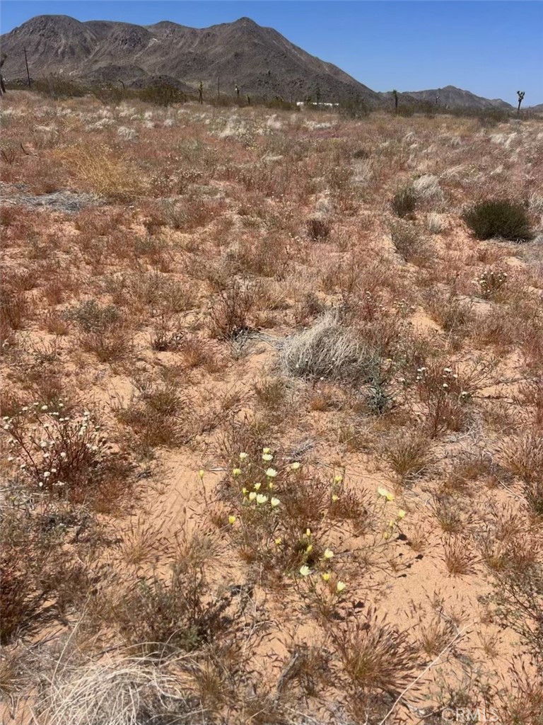 59990 Mitch Lane Landers, CA 92285 - Photo 3 of 4 a view of a mountain