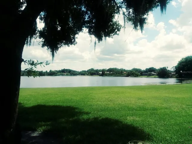 a view of a lake from a yard