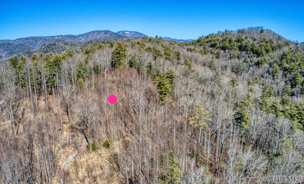 Off Rock House Road Highlands, NC 28741 - Photo 6 of 8 Gallery Image 6