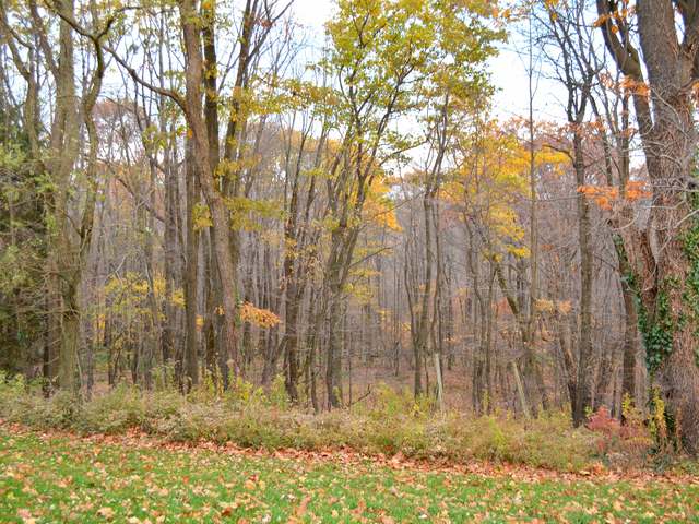 1757 Scandia Road Warren, PA 16365 - Photo 47 of 54 Gallery Image 47