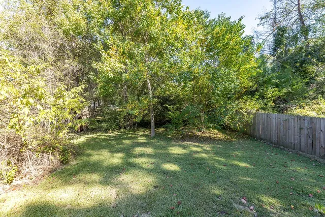 a view of a yard with large trees