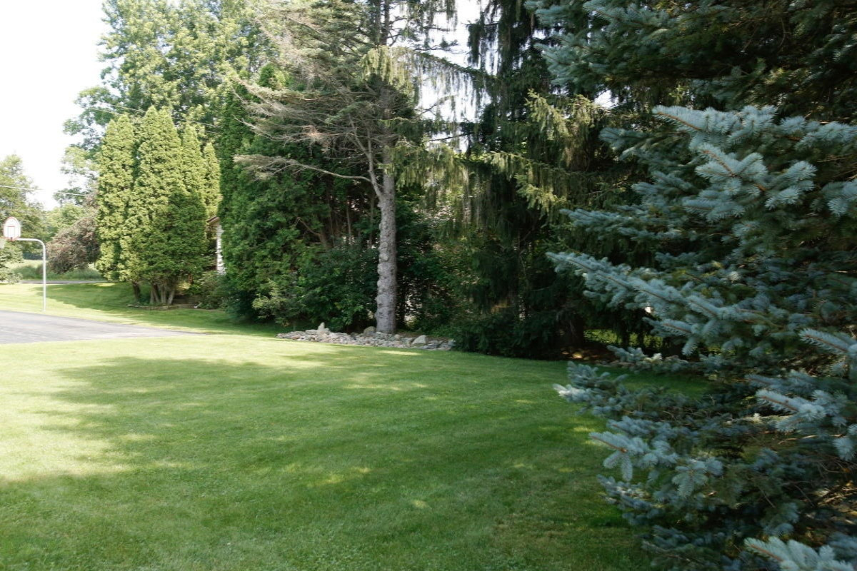 10708 29 Mile Road Albion, MI 49224 - Photo 34 of 37 10708 29 mile_34