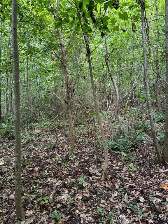 5.7-ac Dutton Road Gloucester, VA 23061 - Photo 18 of 21