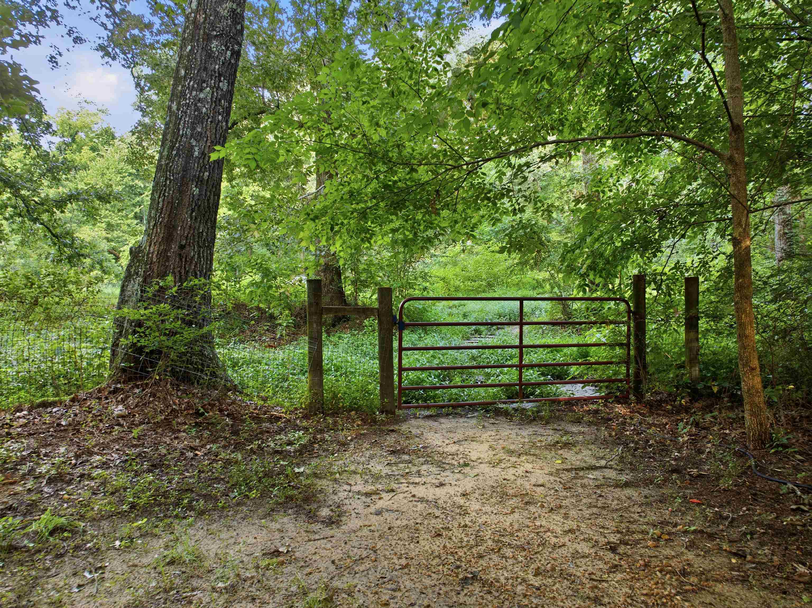 7320 McKinstry Road Moscow, TN 38057 - Photo 28 of 40 Seller once had a horse that roamed the pasture and the neighbor has a horse that is on the other side of the fence.