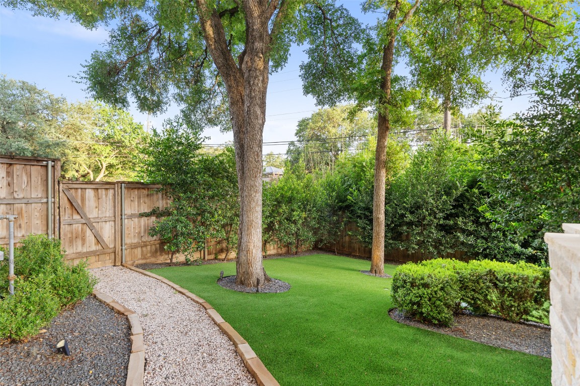 1002 Meriden Lane Austin, TX 78703 - Photo 16 of 35 a view of a yard with plants and a large tree