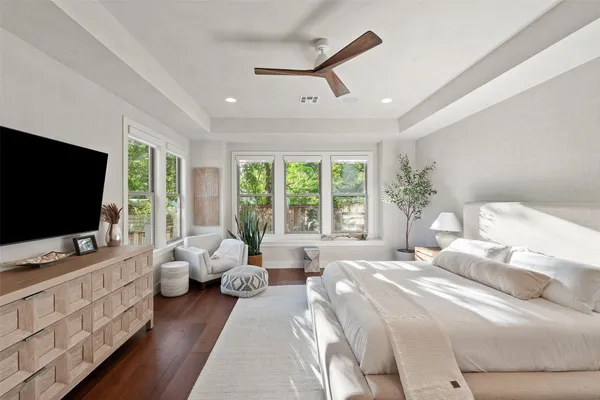 a view of a yard with plants and a large tree