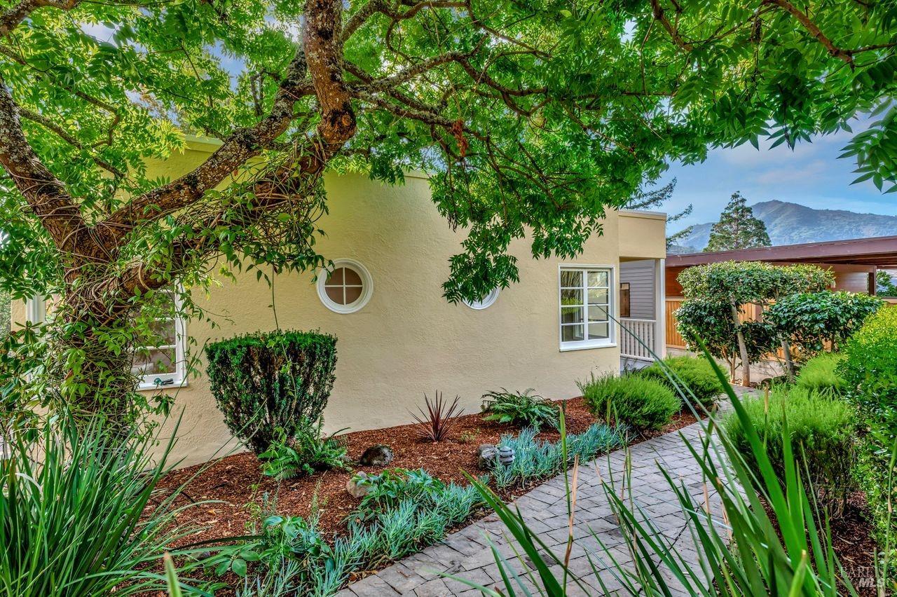 101 Elm Avenue Larkspur, CA 94939 - Photo 1 of 1 a view of a back yard