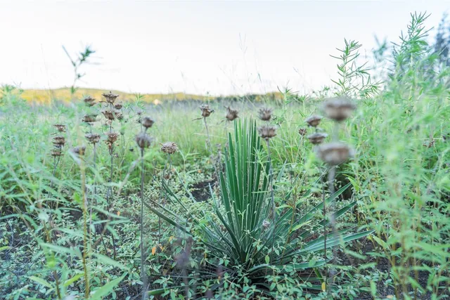 $888,000 | Tbd Crabapple Road, Blanco, TX 78606