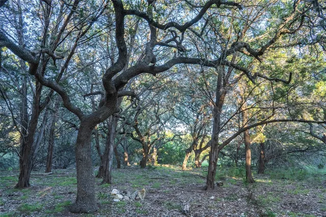 $888,000 | Tbd Crabapple Road, Blanco, TX 78606