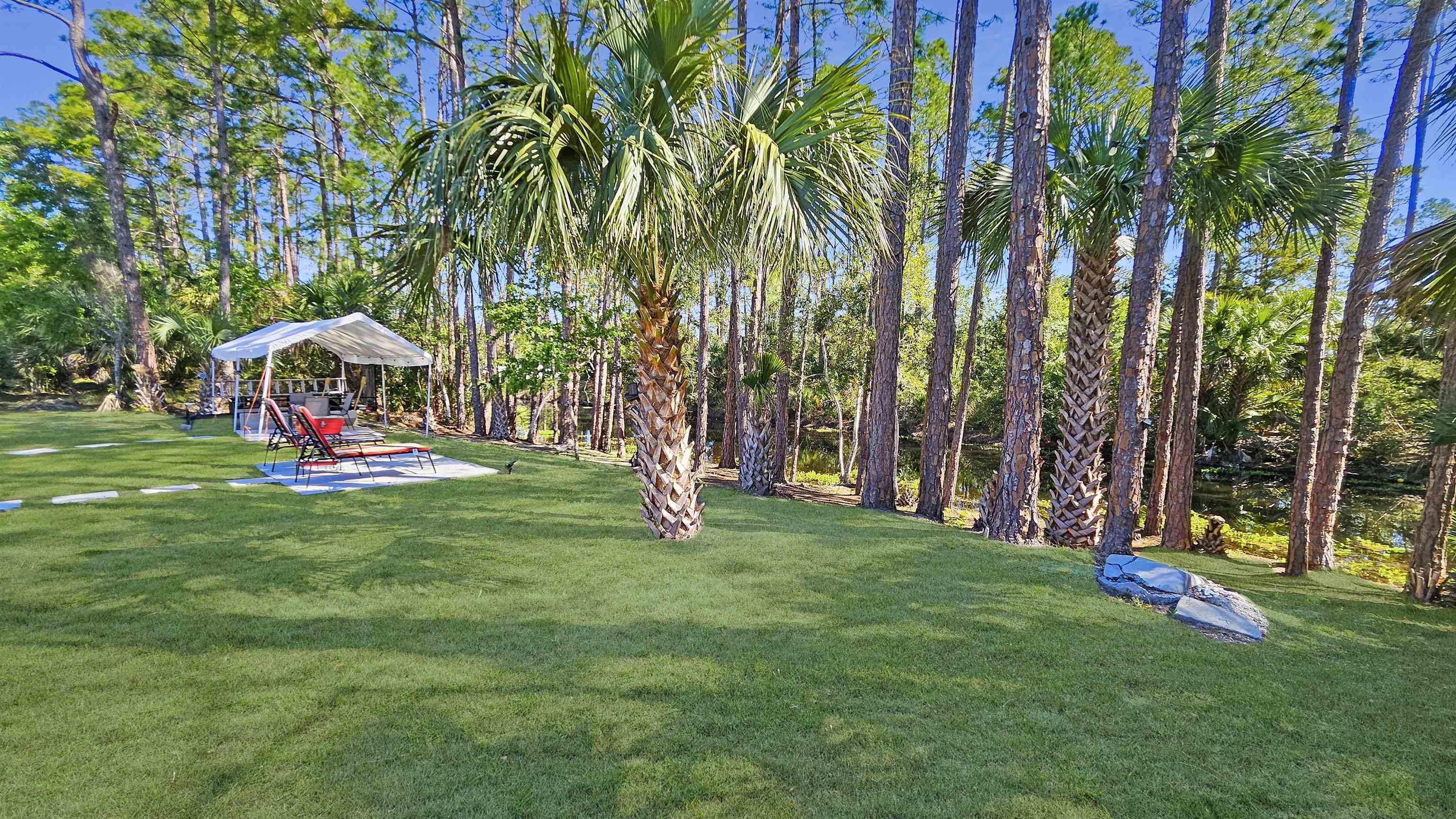 7 Smith Trail Palm Coast, FL 32164 - Photo 39 of 48 a view of a park with large trees