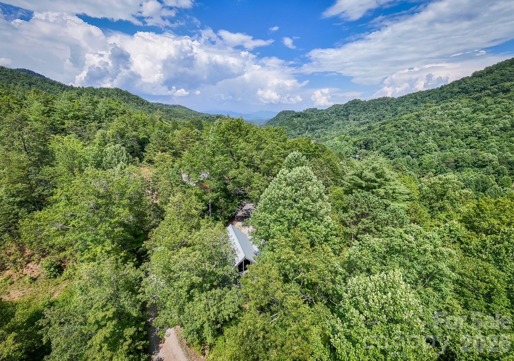 292 Wolf Creek Heights Road Almond, NC 28702 - Photo 46 of 47 a view of a big yard of a building