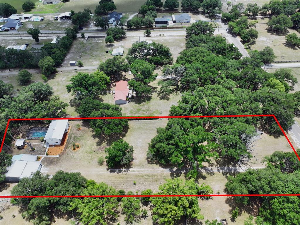 11008 Browning Road Lithia, FL 33547 - Photo 80 of 88