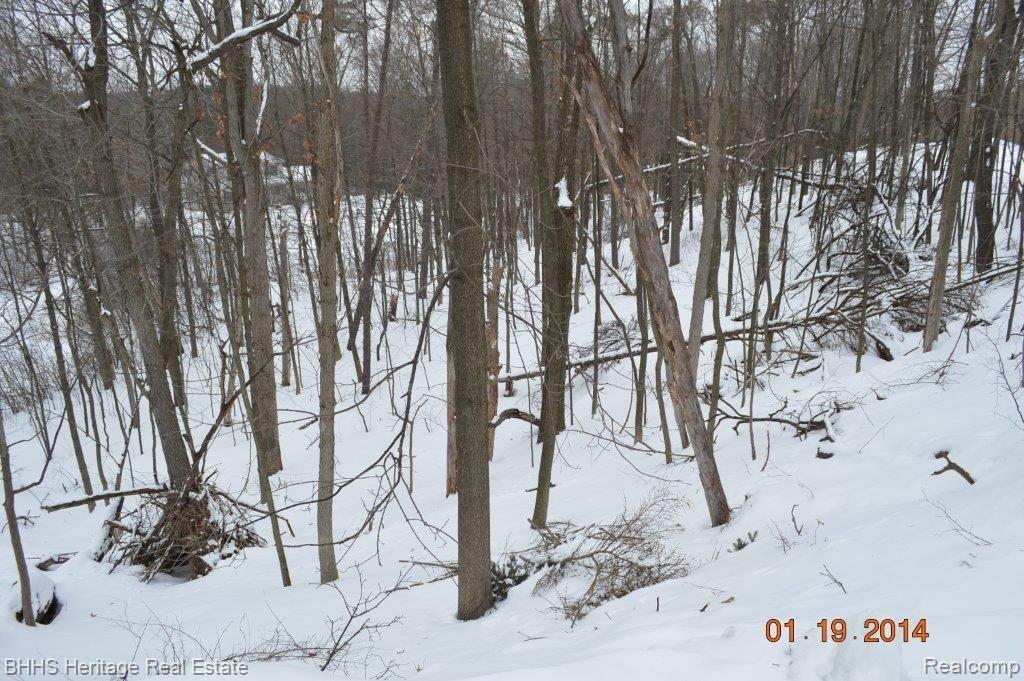 0 Murray Hill Road Hartland, MI 48353 - Photo 2 of 7 27376.jpg
