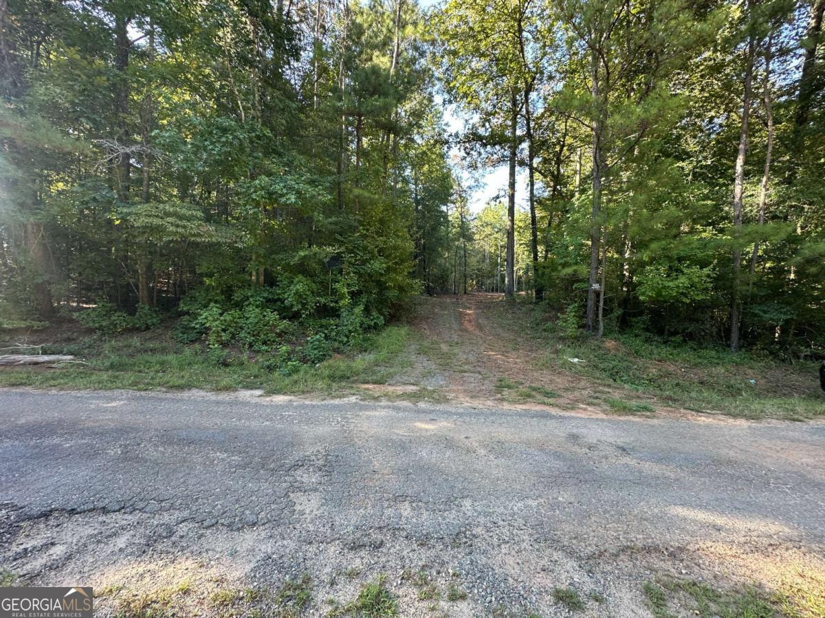 412 Towaliga Trail Forsyth, GA 31029 - Photo 1 of 13 a view of a dirt road and trees