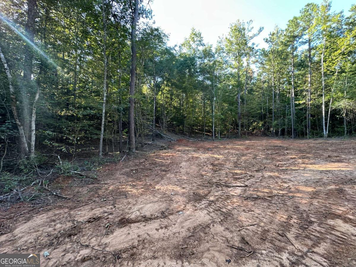 412 Towaliga Trail Forsyth, GA 31029 - Photo 11 of 13 a view of a forest with trees in the background