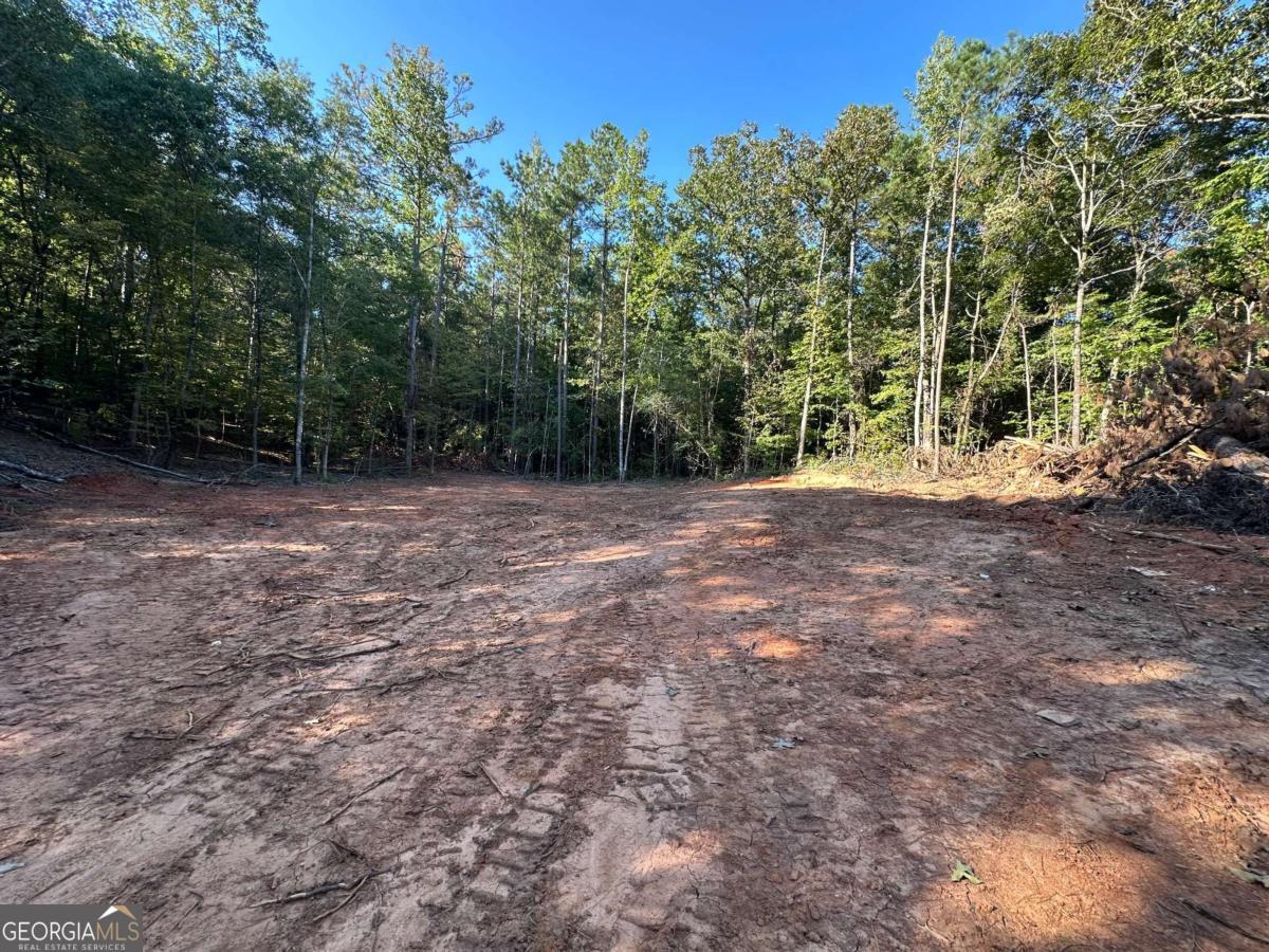 412 Towaliga Trail Forsyth, GA 31029 - Photo 12 of 13 a view of a yard with a trees