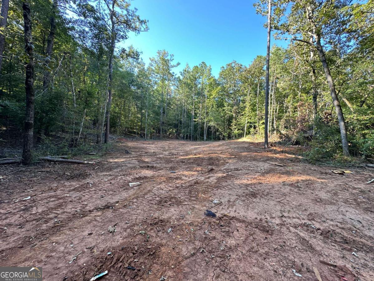 412 Towaliga Trail Forsyth, GA 31029 - Photo 13 of 13 a view of a yard with trees in the background