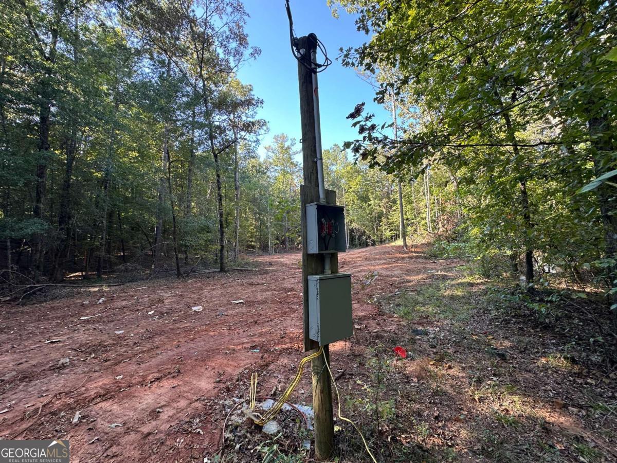 412 Towaliga Trail Forsyth, GA 31029 - Photo 3 of 13 a view of a tree in the middle of a yard