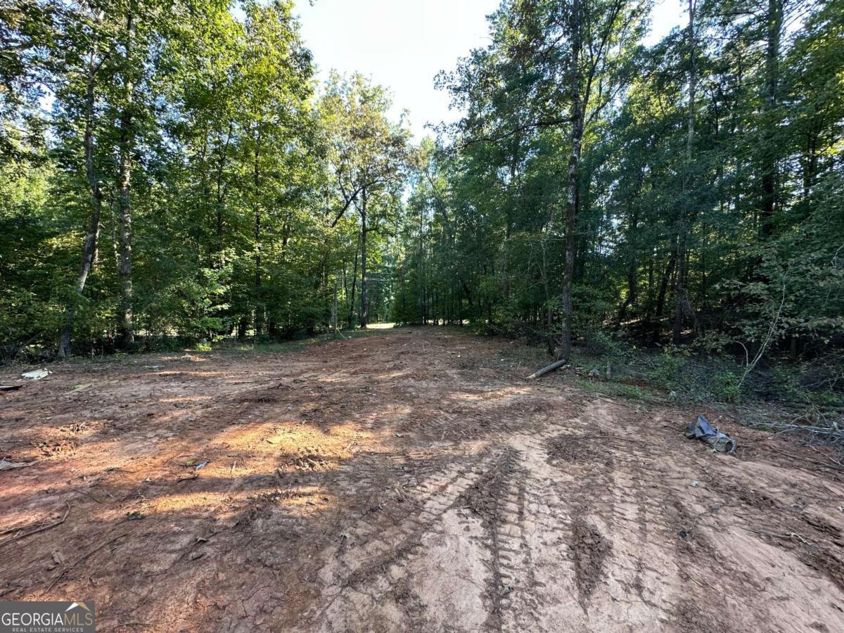 412 Towaliga Trail Forsyth, GA 31029 - Photo 4 of 13 a view of backyard with green space