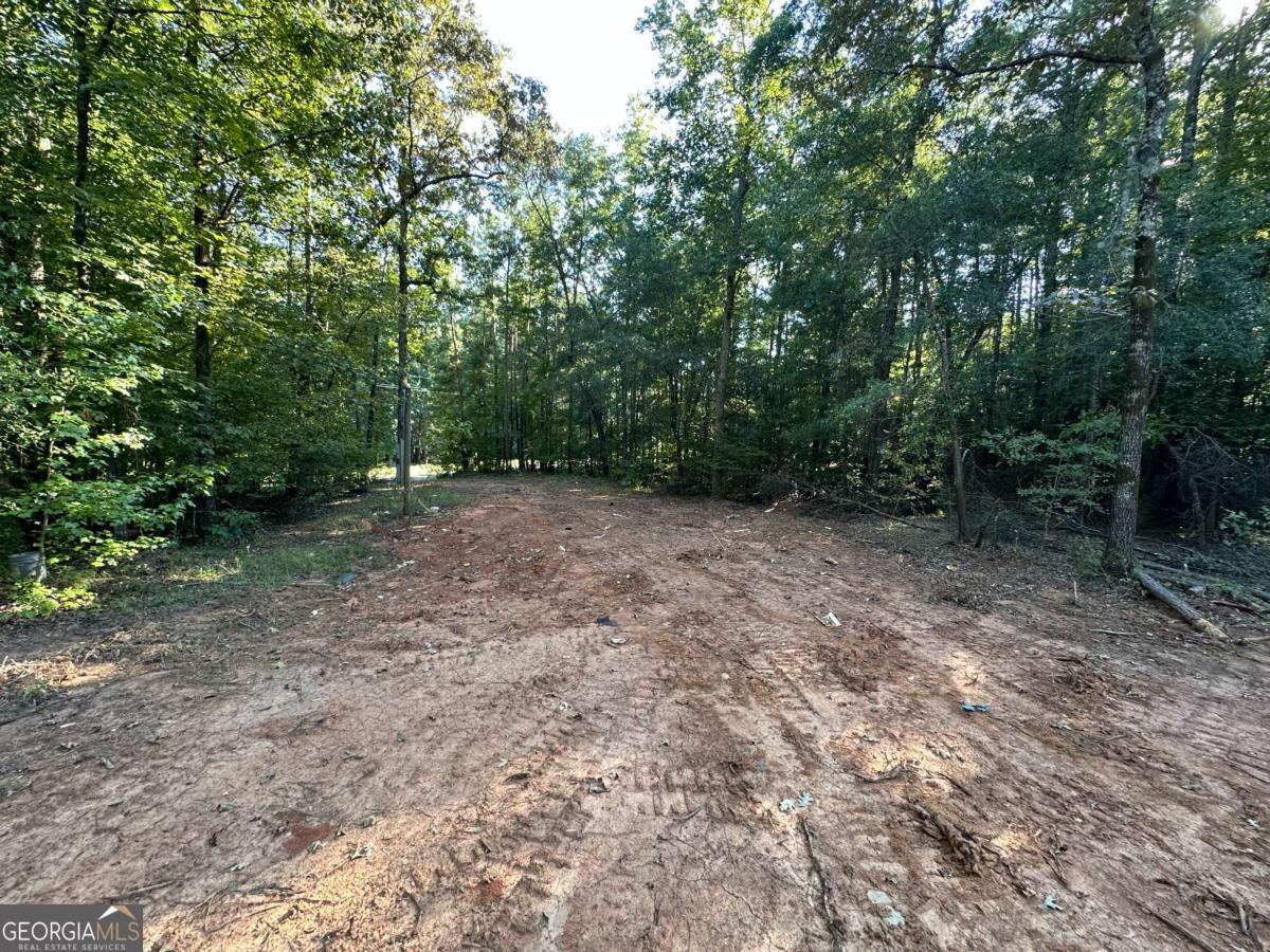 412 Towaliga Trail Forsyth, GA 31029 - Photo 5 of 13 a view of a forest with trees in the background