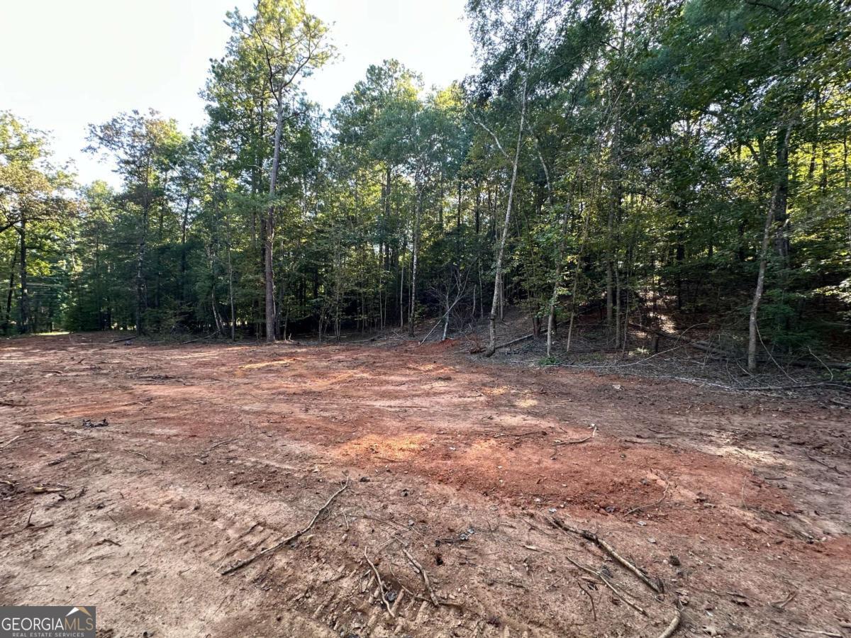 412 Towaliga Trail Forsyth, GA 31029 - Photo 6 of 13 a view of outdoor space with trees