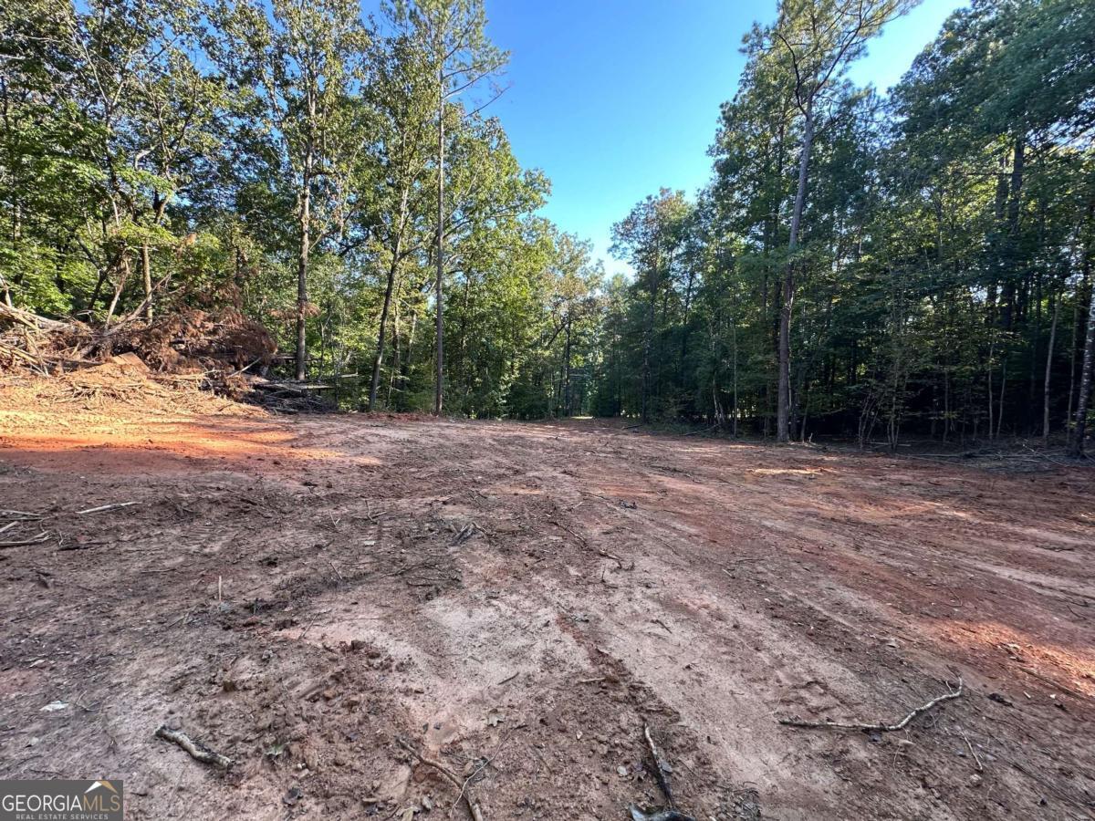 412 Towaliga Trail Forsyth, GA 31029 - Photo 7 of 13 a view of a field with trees in the background
