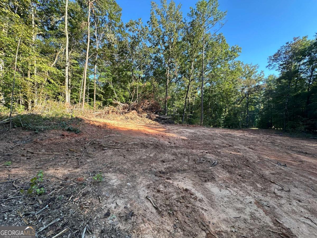 412 Towaliga Trail Forsyth, GA 31029 - Photo 8 of 13 a view of a yard with plants and trees