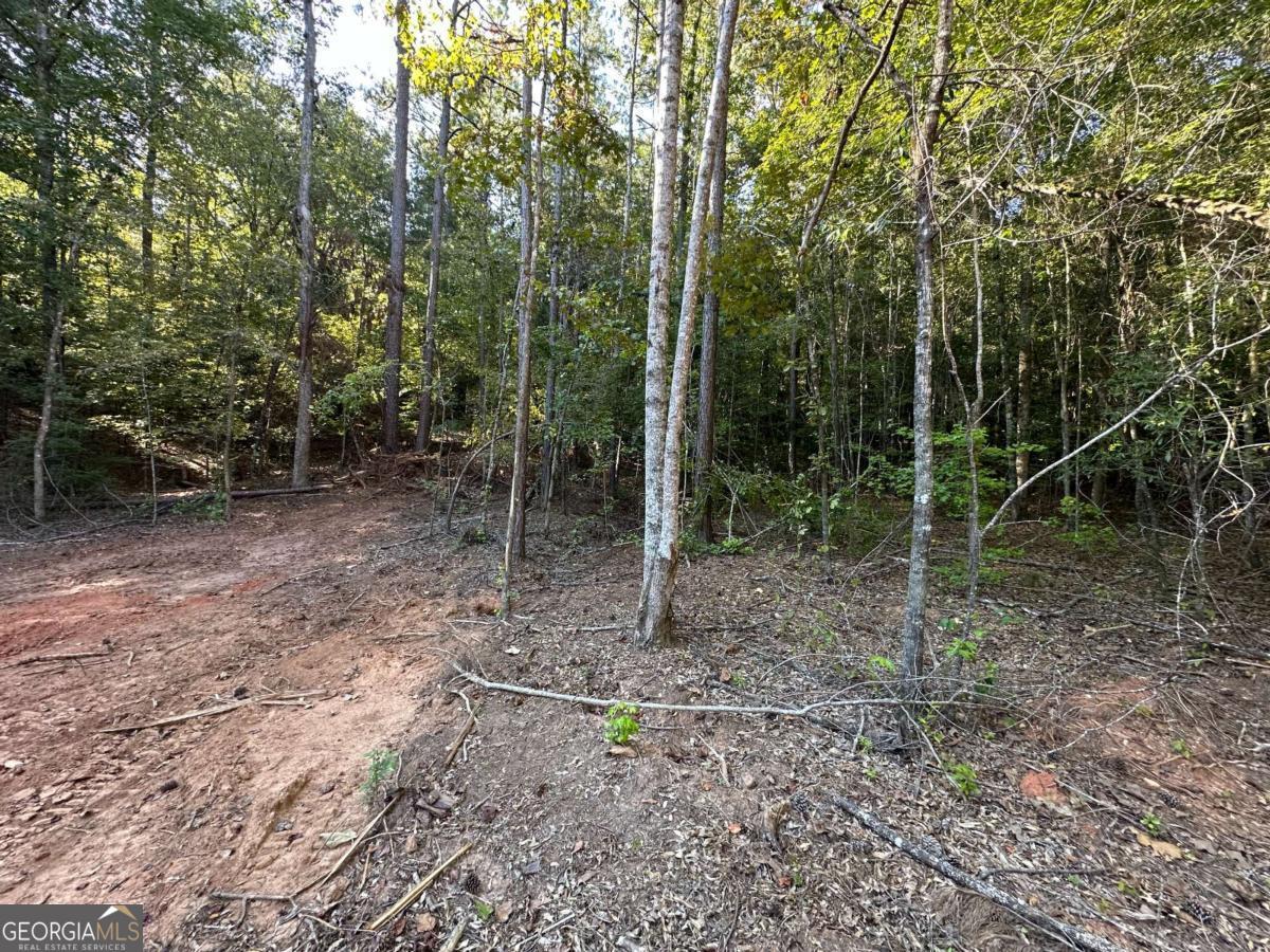 412 Towaliga Trail Forsyth, GA 31029 - Photo 9 of 13 a view of a forest with trees in the background