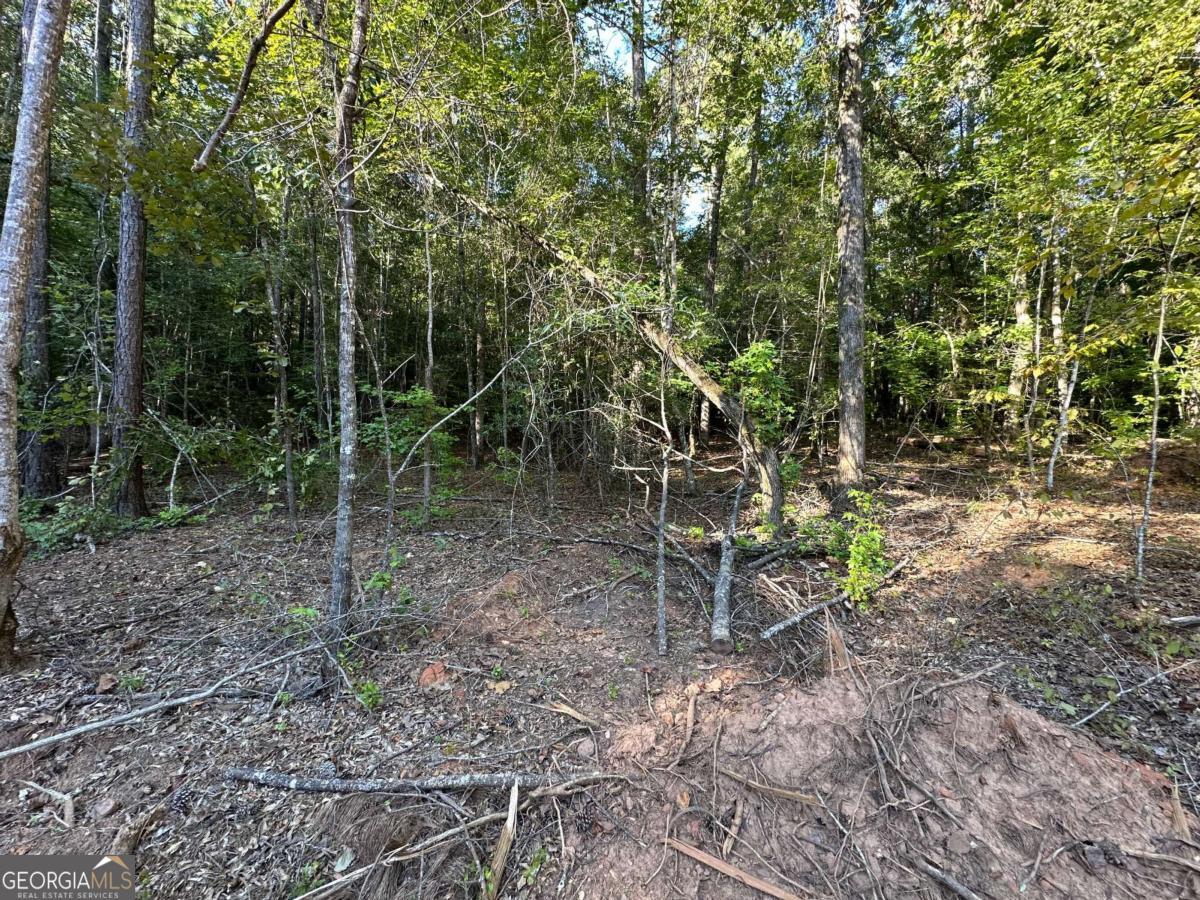 412 Towaliga Trail Forsyth, GA 31029 - Photo 10 of 13 a backyard of a house with lots of green space