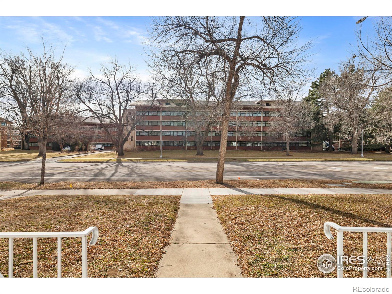 814 West Laurel Street Fort Collins, CO 80521 - Photo 3 of 35 a view of a yard with trees
