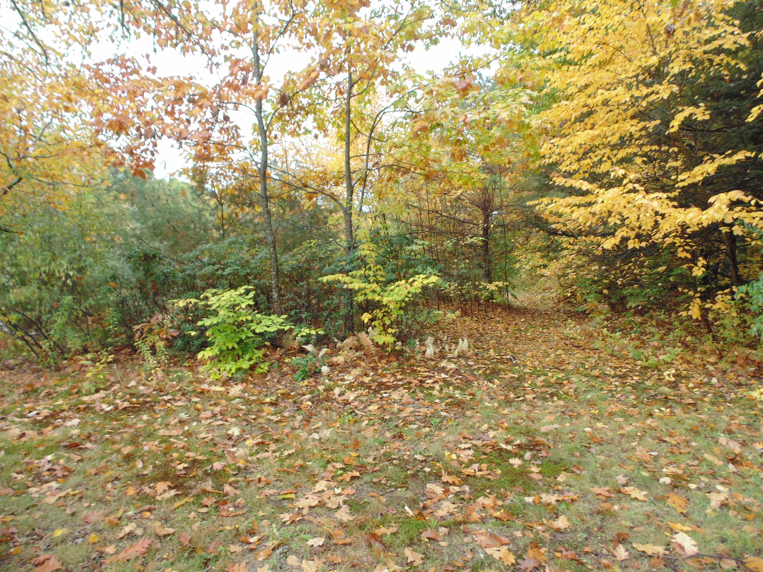 41 Smith Road Antrim, NH 03440 - Photo 4 of 40