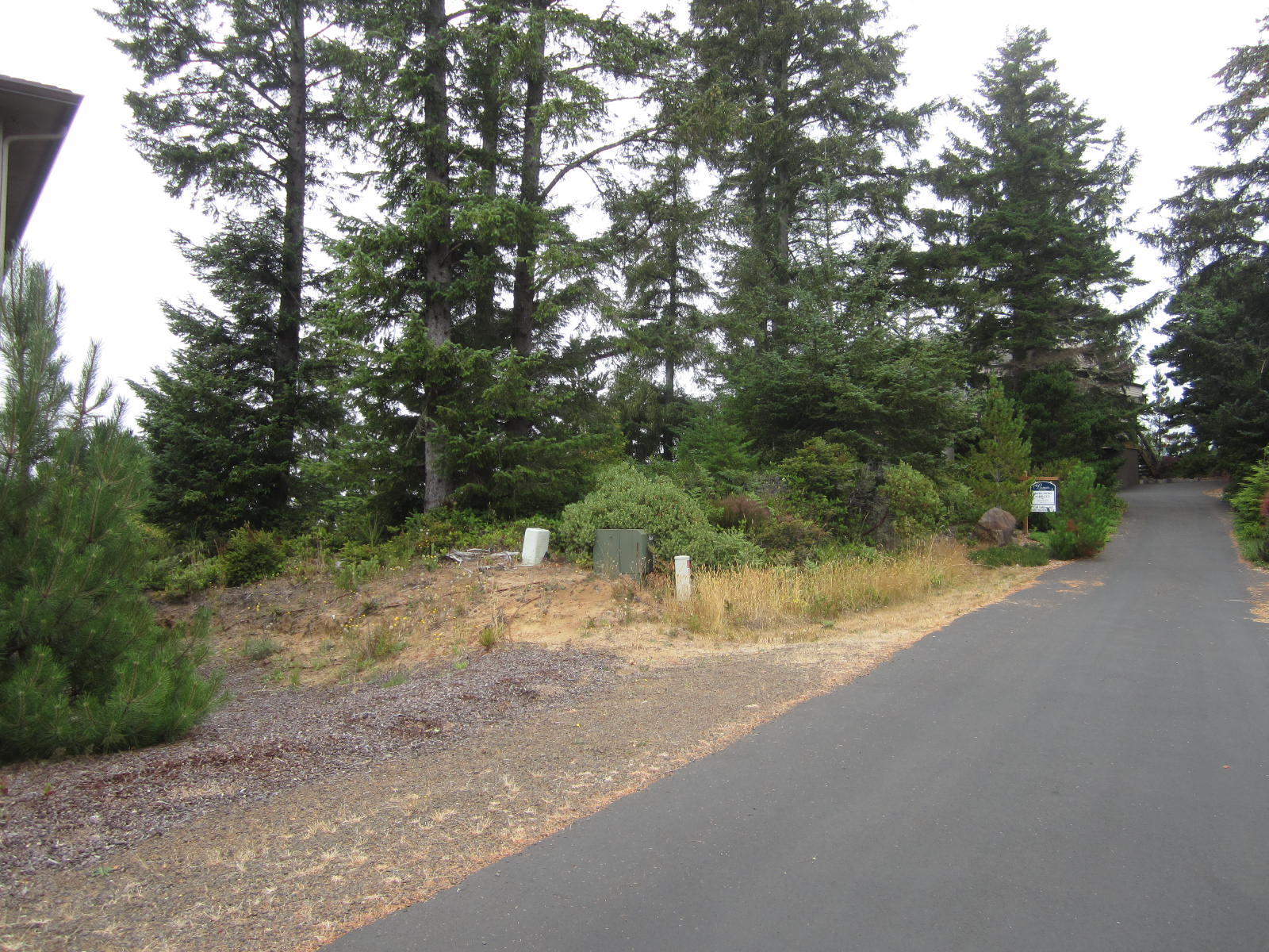 Lot Ridgewood Ridgewood Road Tillamook, OR 97141 - Photo 1 of 6 Lot