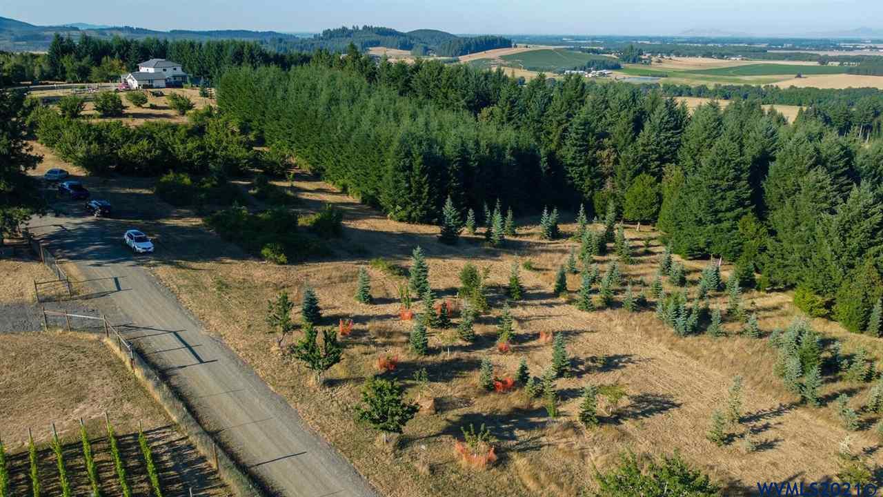 West Larson (lot 18) Road Monroe, OR 97456 - Photo 9 of 21
