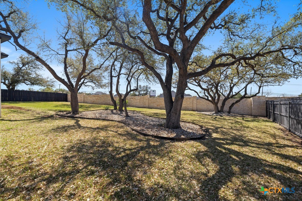 1745 Alta Vista Loop Temple, TX 76502 - Photo 30 of 34 a view of yard with trees