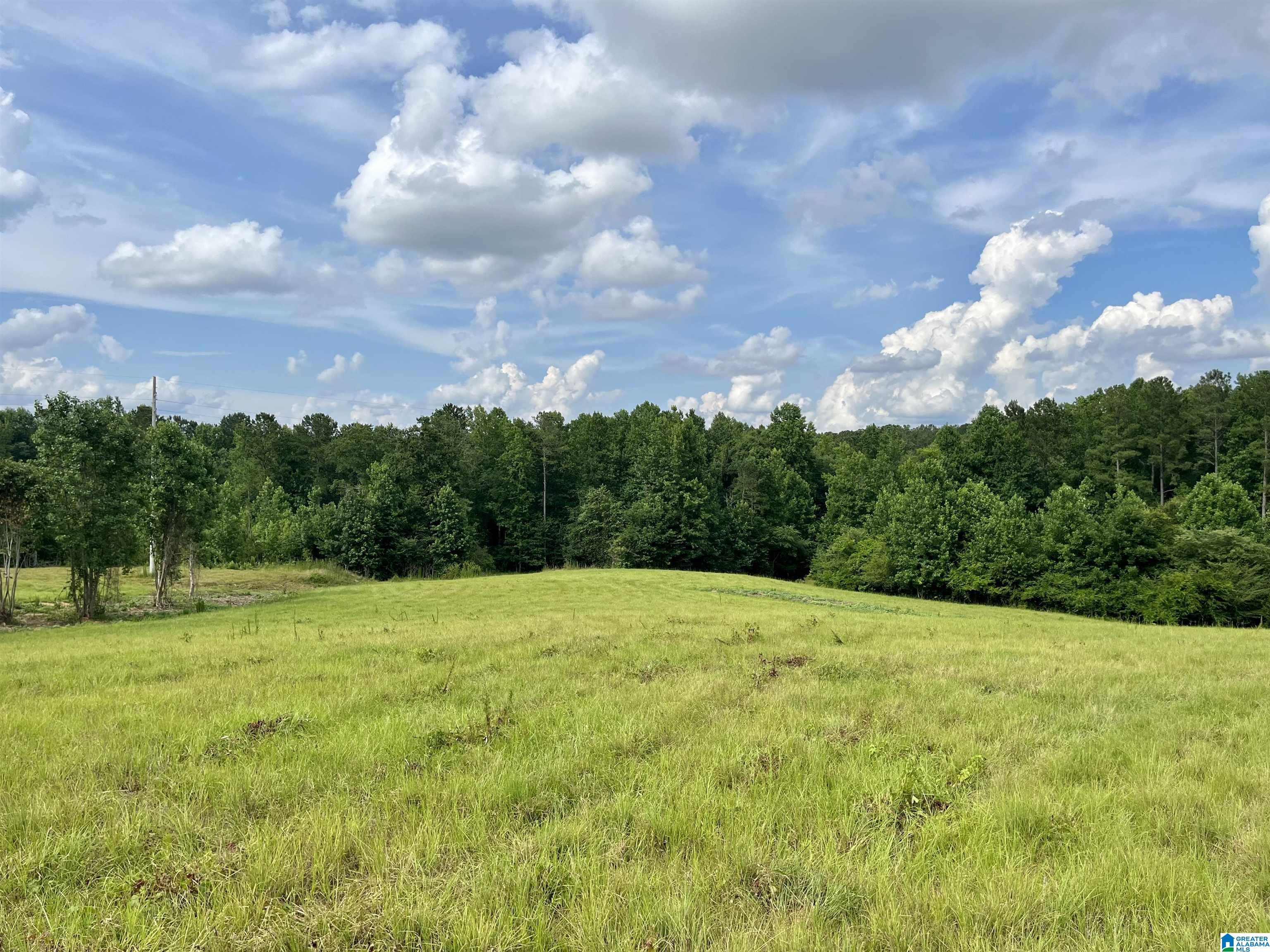 2917 Doublehead Road, Unit 170 ACRES Roanoke, AL 36274 - Photo 5 of 18