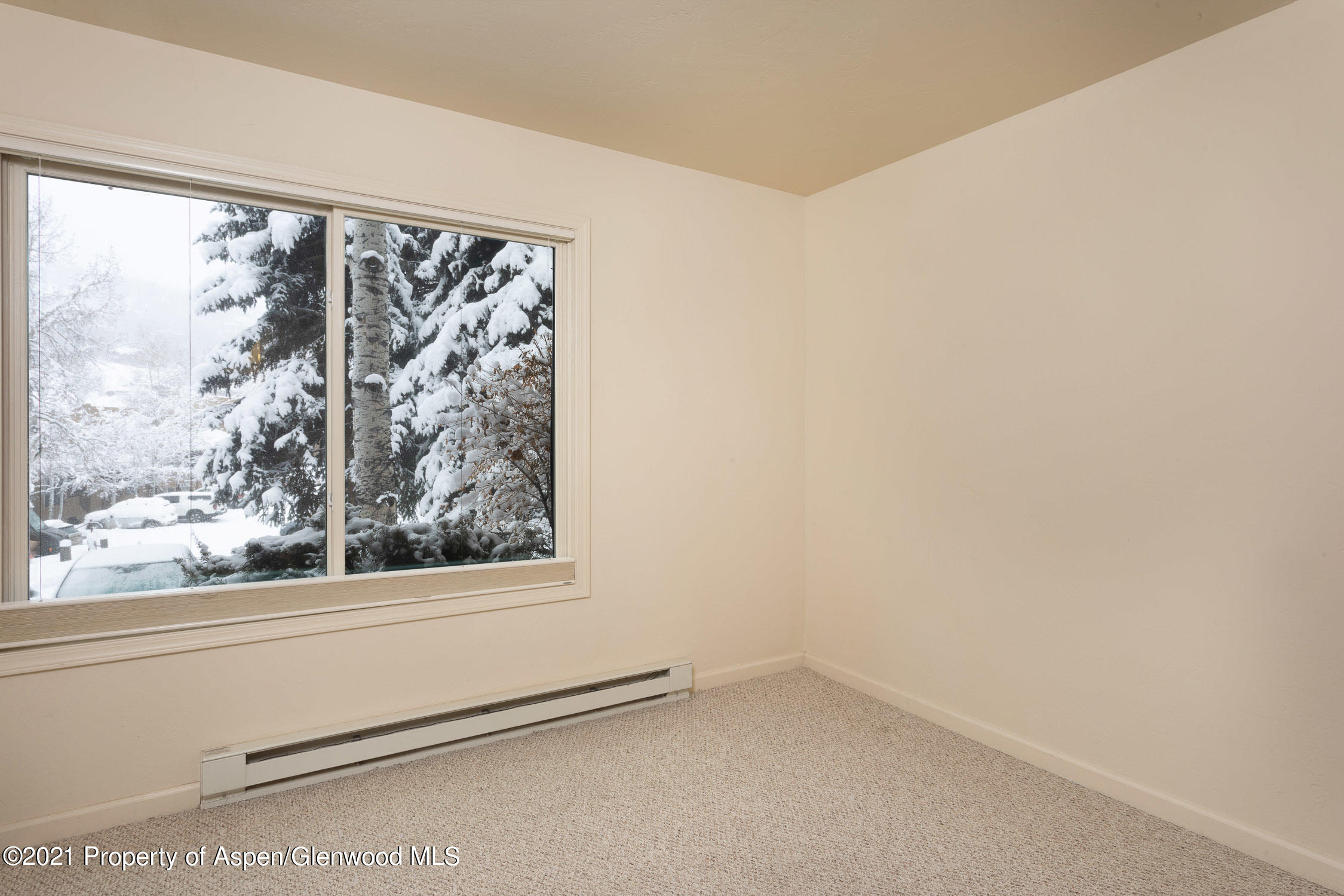 35 Lower Woodbridge Road, Unit 155 Snowmass Village, CO 81615 - Photo 12 of 14 a view of a room with window