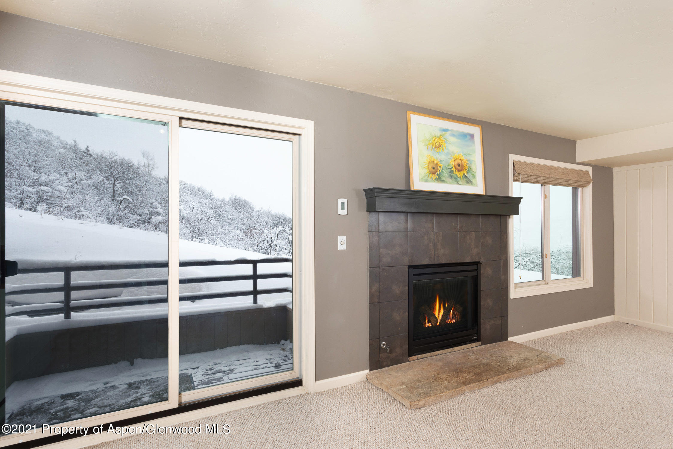 35 Lower Woodbridge Road, Unit 155 Snowmass Village, CO 81615 - Photo 2 of 14 a view of an empty room with a fireplace and a window