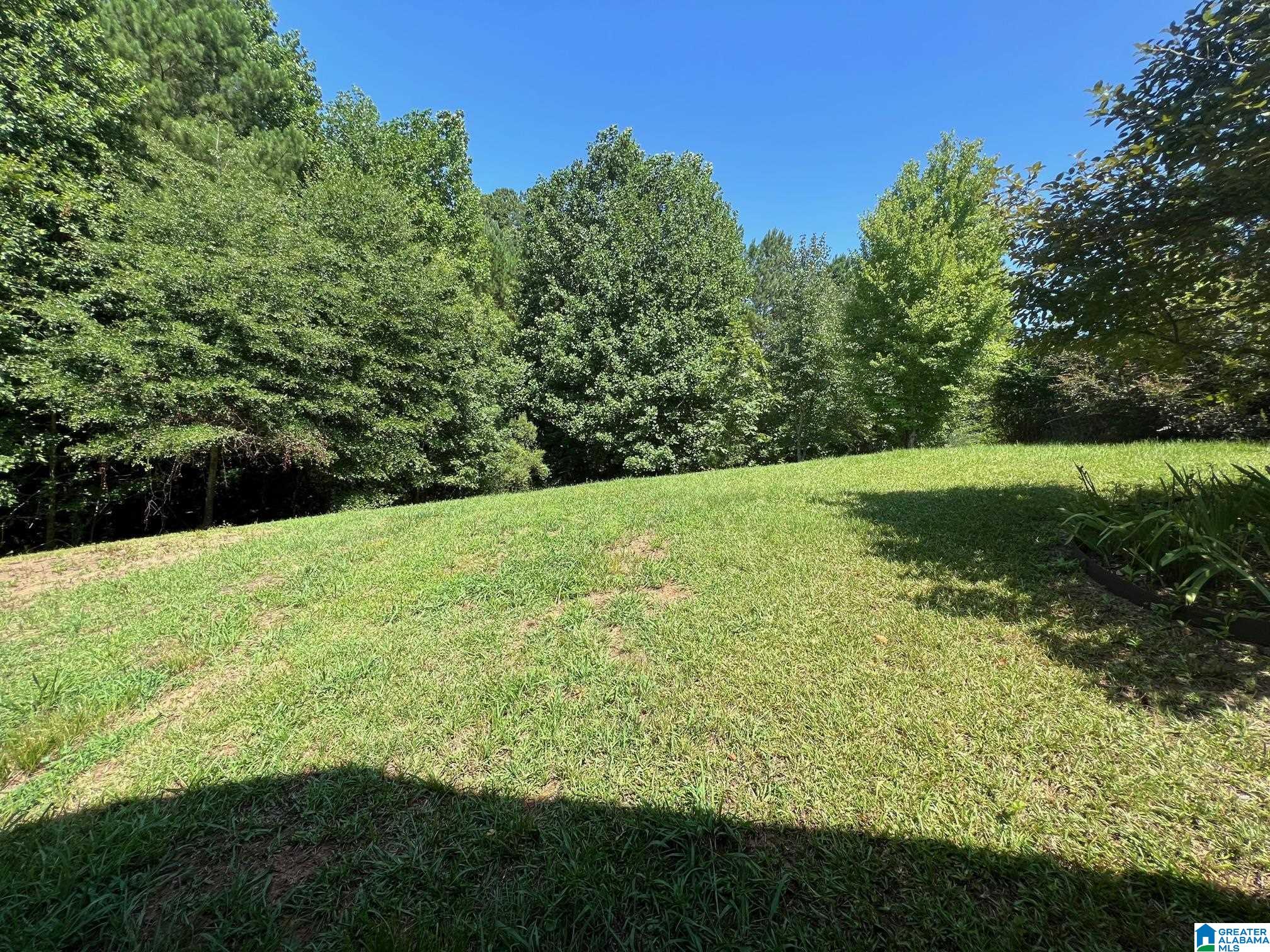 1069 Allison Court Odenville, AL 35120 - Photo 37 of 40