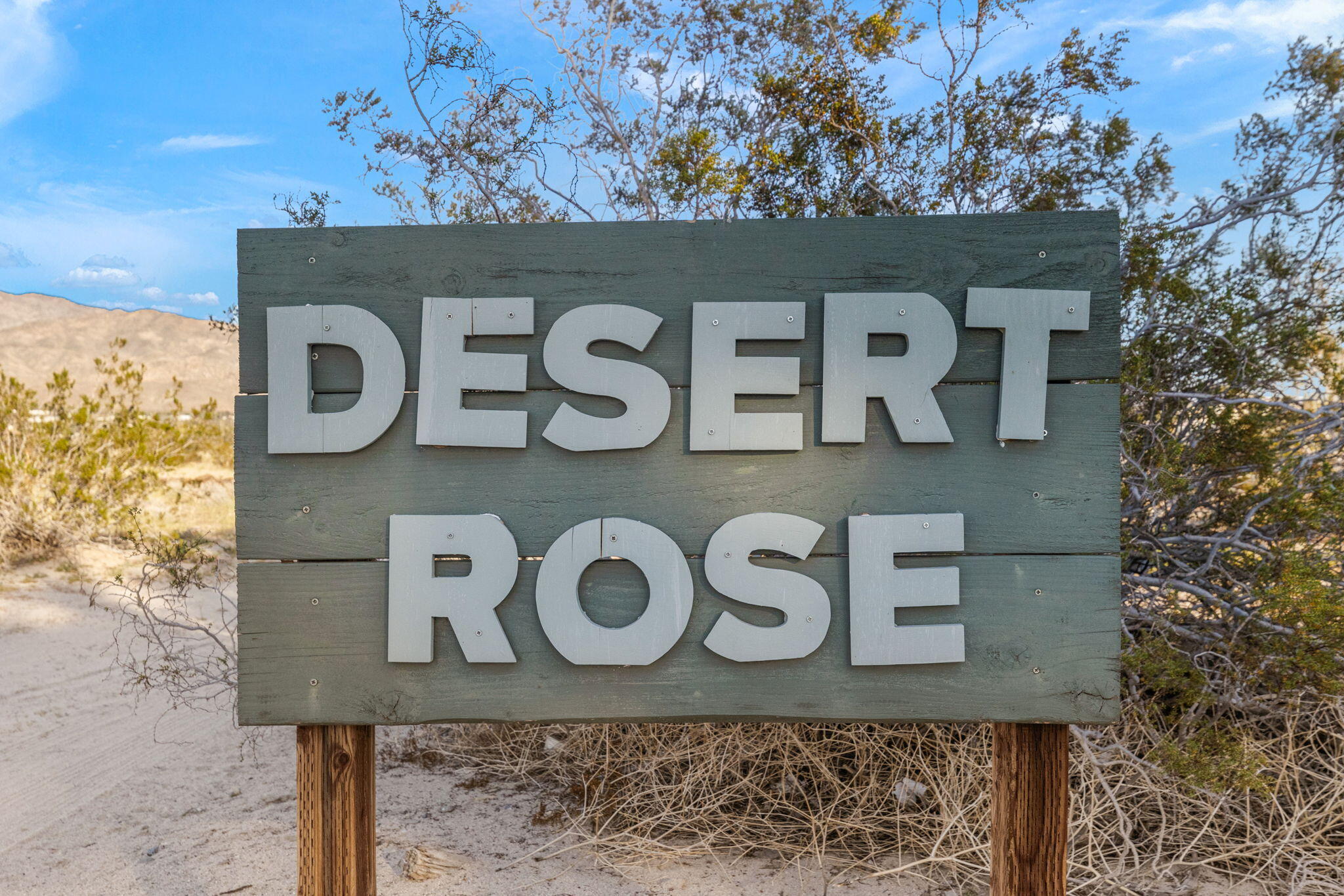 22950 Henry Road Desert Hot Springs, CA 92241 - Photo 2 of 68 43-web-or-mls-8M4A1776