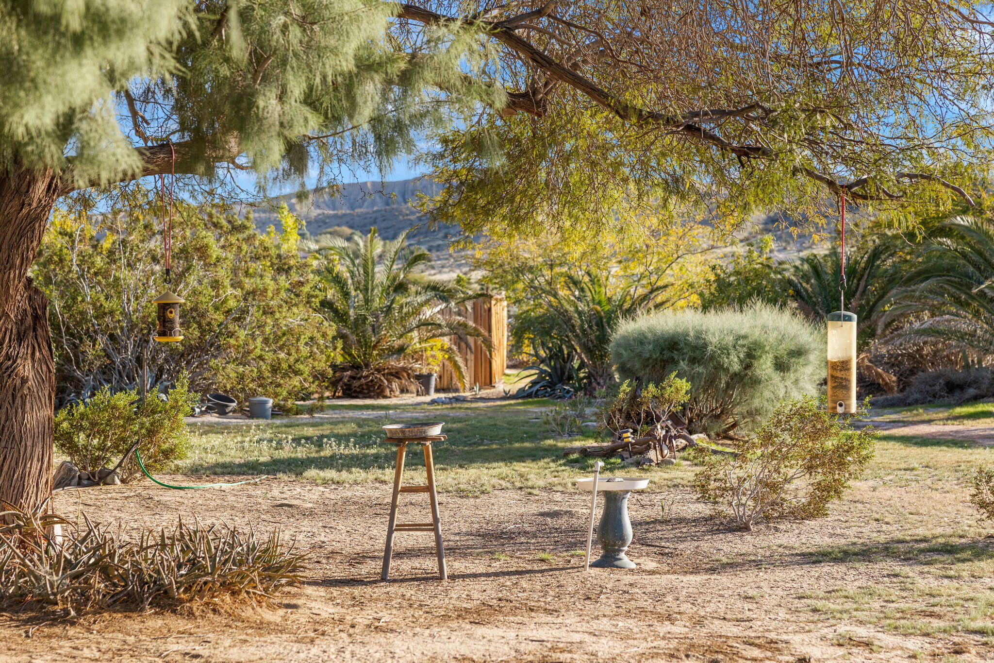 22950 Henry Road Desert Hot Springs, CA 92241 - Photo 40 of 68 a view of outdoor space and yard