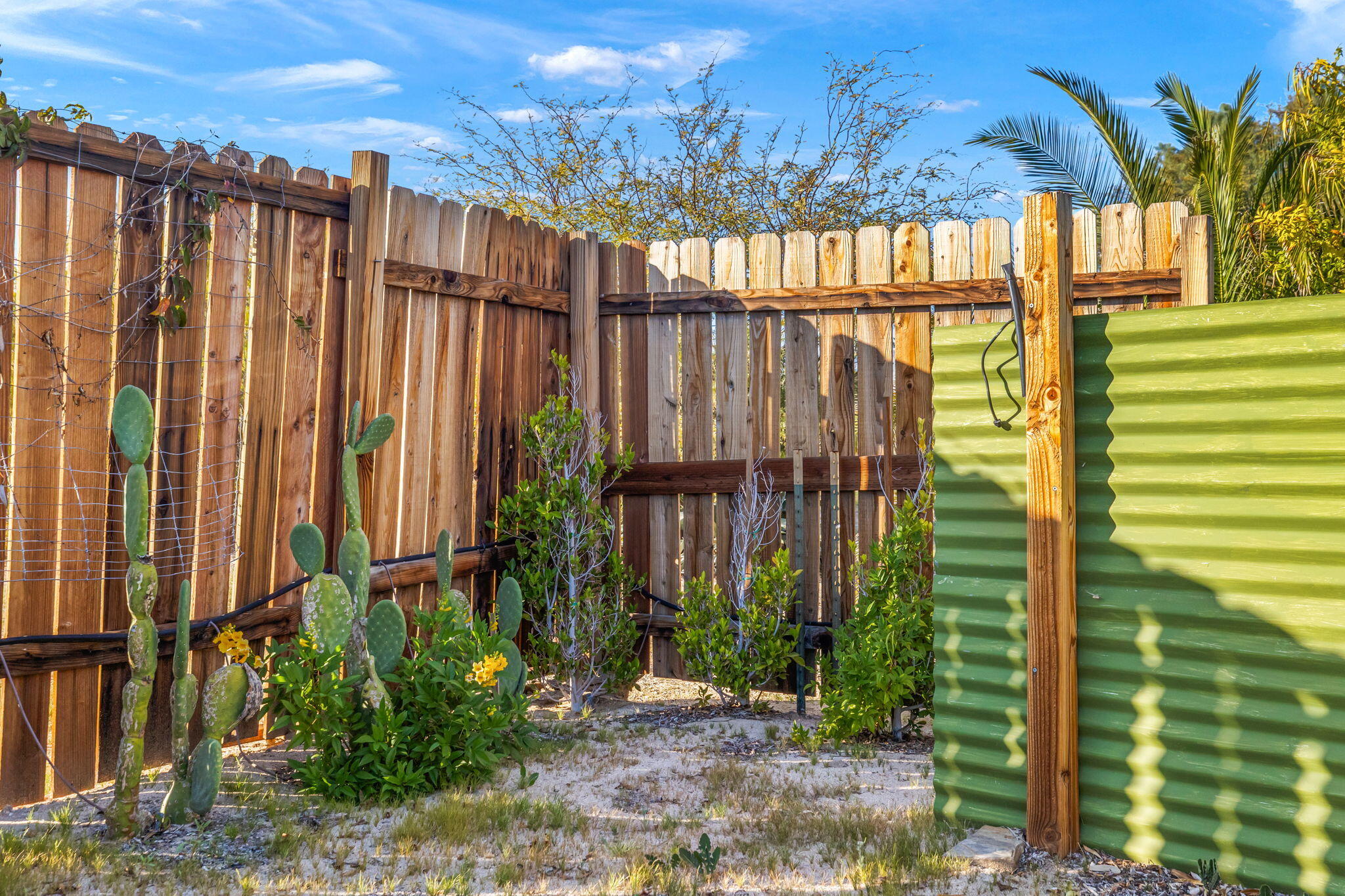 22950 Henry Road Desert Hot Springs, CA 92241 - Photo 50 of 68 50-web-or-mls-8M4A1713